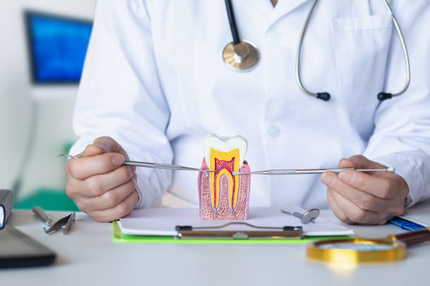 Best Emergency Treatment for Jaw Pain or Injury in Meridian, CO